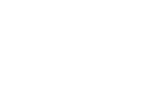 intelligible logo white